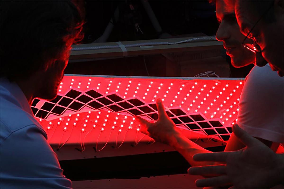 description de l'image